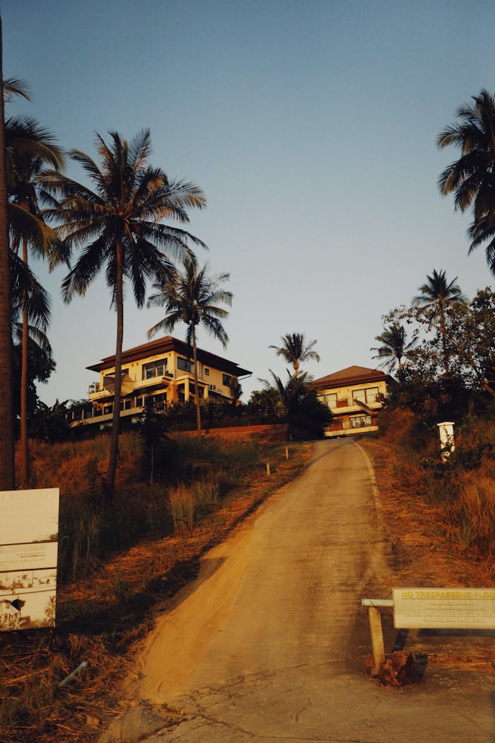 A scenic path leads to luxurious hillside villas surrounded by palm trees at sunset.